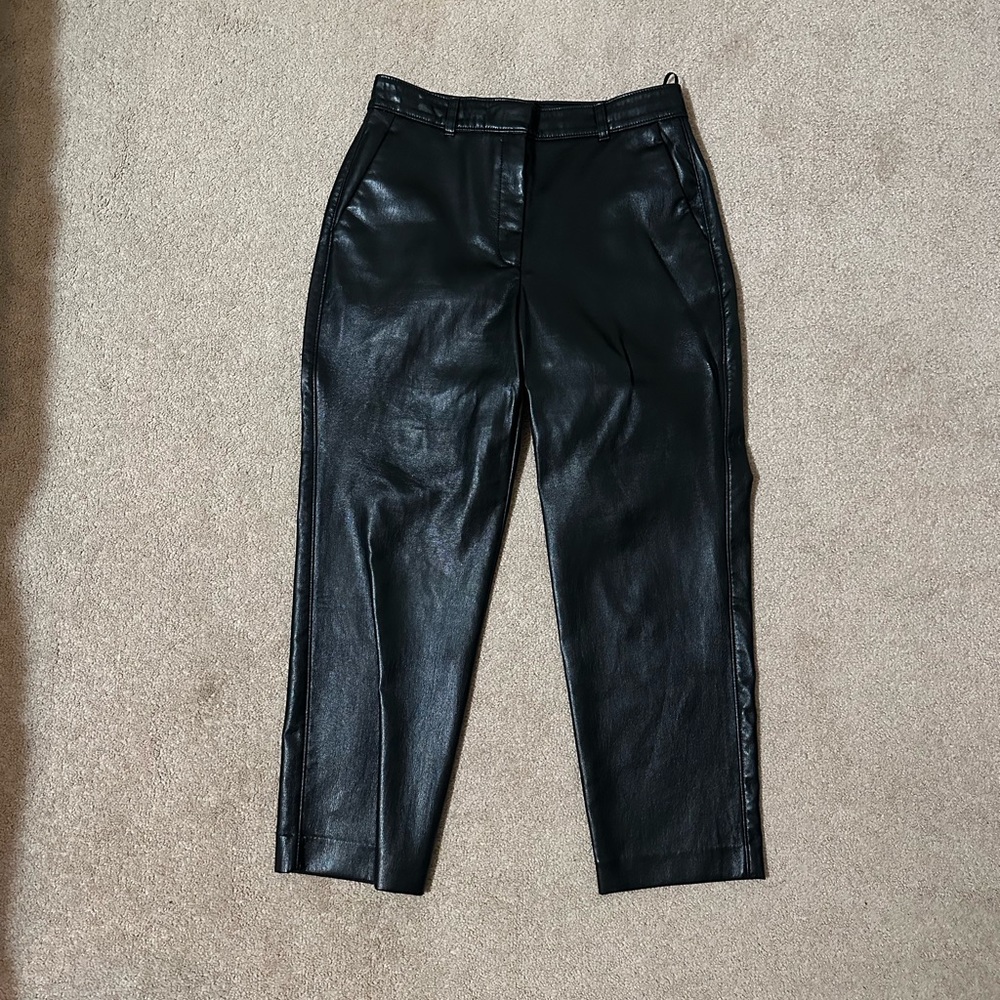Aritzia Babaton leather command pant